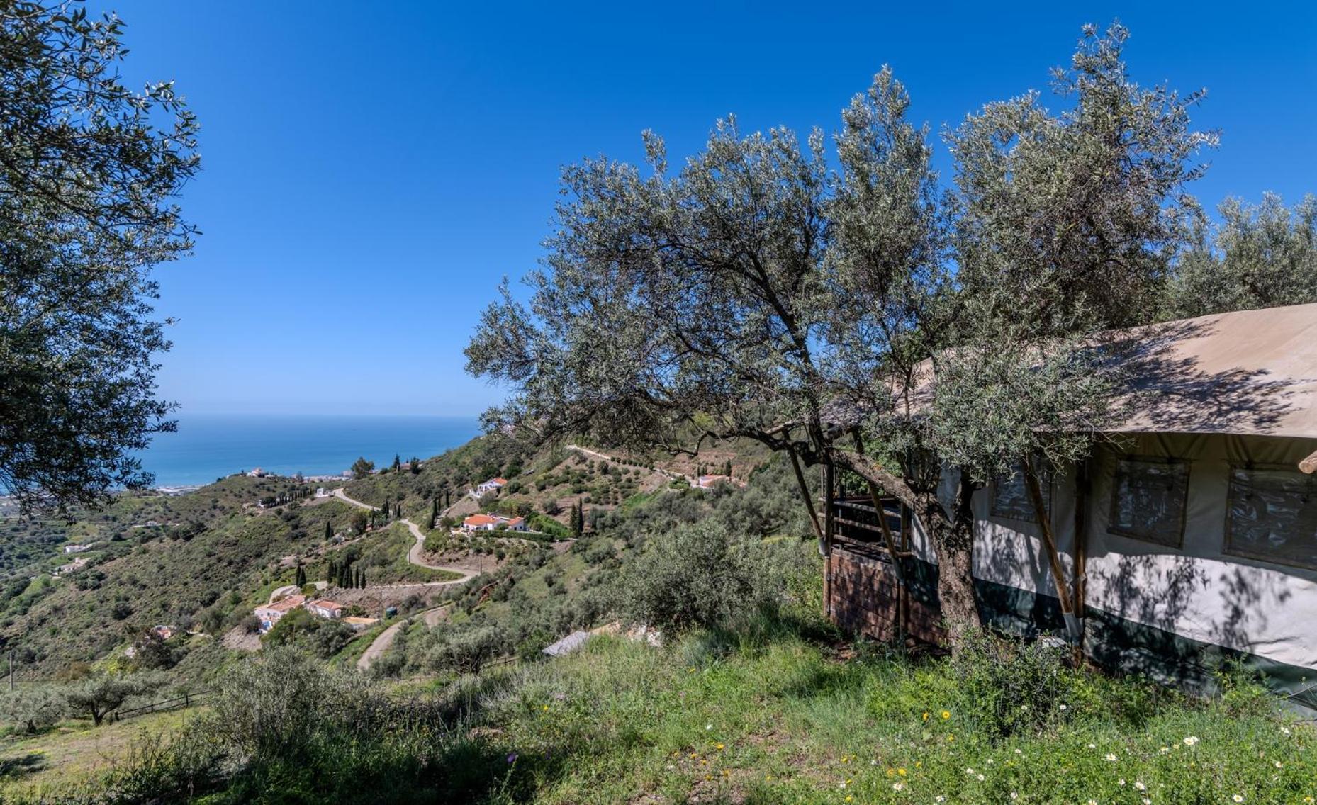 Campo Agave Luxury Tents Sayalonga Exterior photo